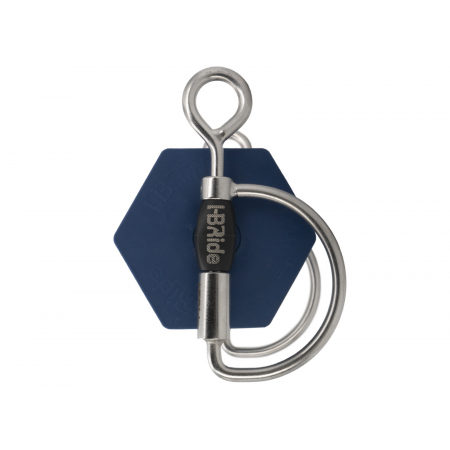 Baucher ringen