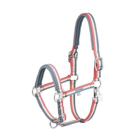 Licol Double Pin Classic Sports - ETE25