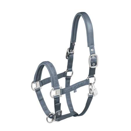 Licol Mattgloss Jewel Classic Sports - ETE25