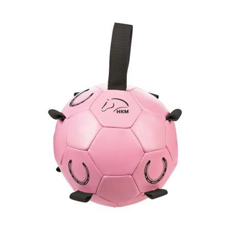 Horse Play Ball Fun