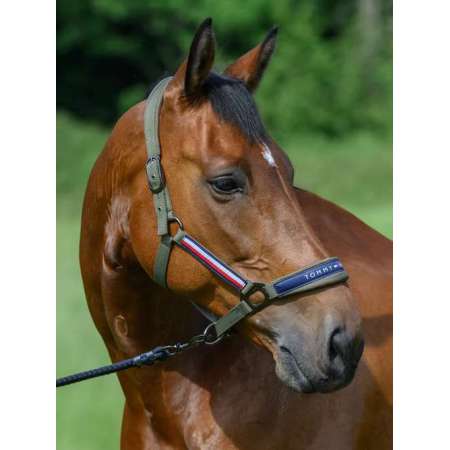 Halster & Leadrope Yale - ETE25