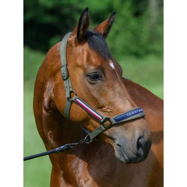 Halster & Leadrope Yale - ETE25