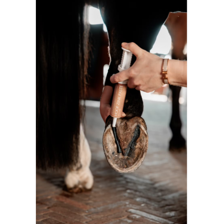 GD Equi Hoof zinc paste