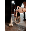 GD Equi Hoof zinc paste
