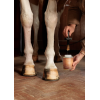 GD Hoof Oil Shine