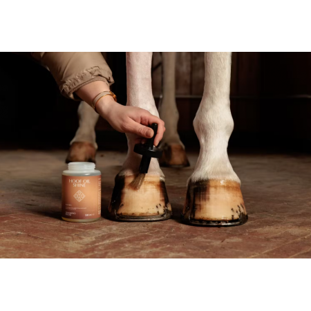Huile pour Pieds Shine