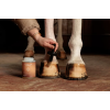 Huile pour Pieds Shine