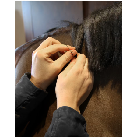 Elastiques Grooming Deluxe
