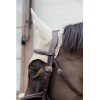 Plaited Figure 8 Noseband Bridle