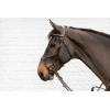 D Collection Elastic Hybrid Noseband Bridle