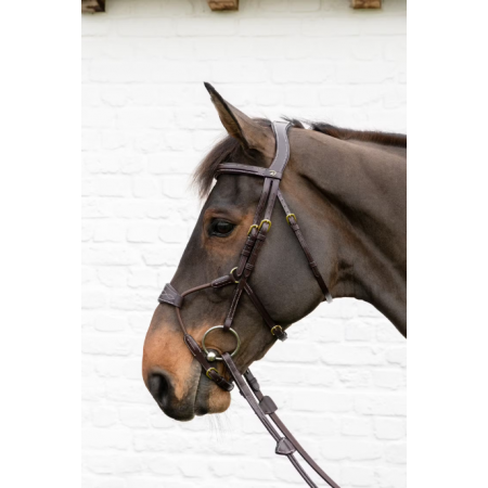 D Collection Elastic Hybrid Noseband Bridle