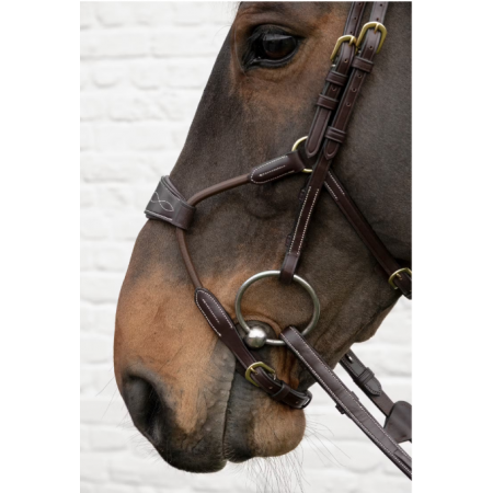 D Collection Elastic Hybrid Noseband Bridle