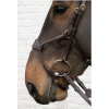 D Collection Elastic Hybrid Noseband Bridle