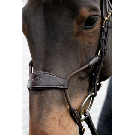 D Collection Elastic Hybrid Noseband Bridle