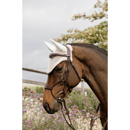 New English Collection Elastic Hybrid Noseband Bridle