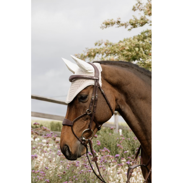 New English Collection Elastic Hybrid Noseband Bridle