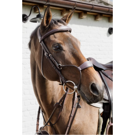 New English Collection Elastic Hybrid Noseband Bridle