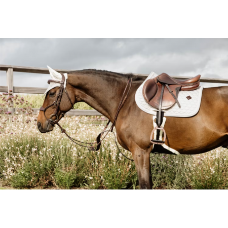 New English Collection Elastic Hybrid Noseband Bridle