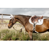 New English Collection Elastic Hybrid Noseband Bridle