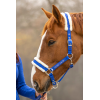 Halter & Lead S25