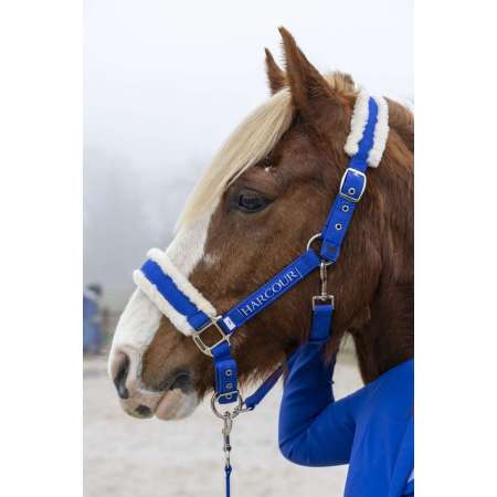Halter & Lead S25