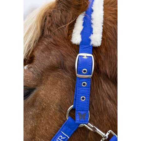 Halter & Lead S25