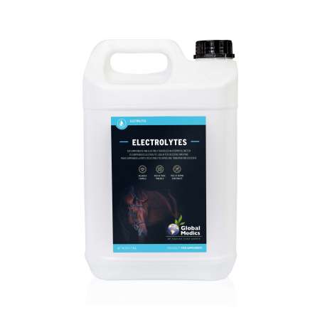 Electrolytes liquide