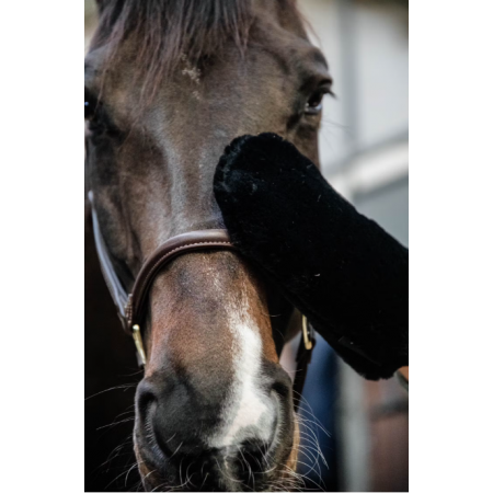 Sheepskin grooming glove