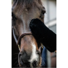 Gant de pansage mouton