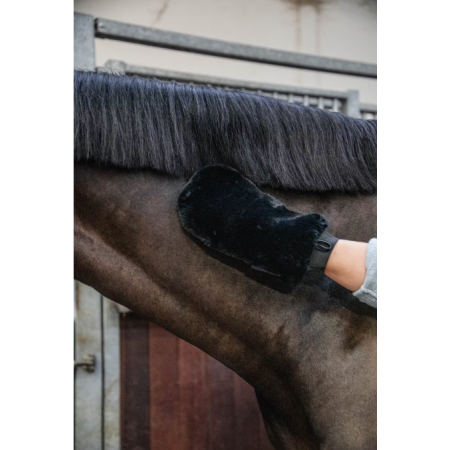 Gant de pansage mouton