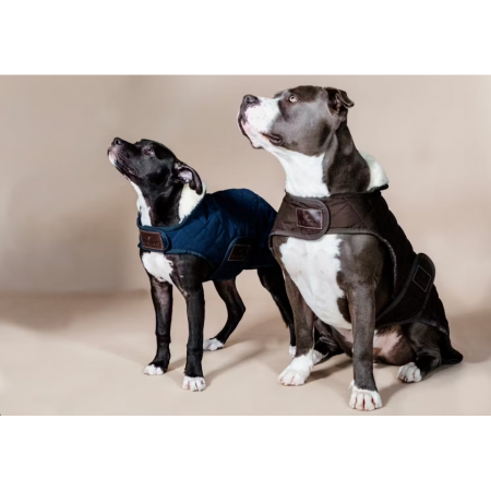 Dog Coat Original