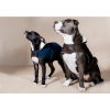 Dog Coat Original