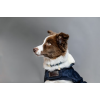 Dog Coat Original