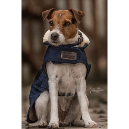 Dog Coat Original