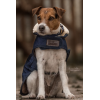 Dog Coat Original