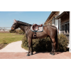 Tapis de selle Pied-de-Poule NEW Dressage