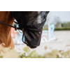 Fly Mask Pro