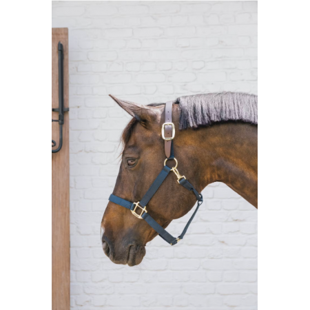 Nylon Halster Breakaway