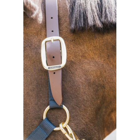 Nylon Halster Breakaway