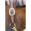 Nylon Halster Breakaway