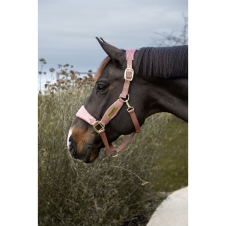 Velvet Halster Unicorn Glitter