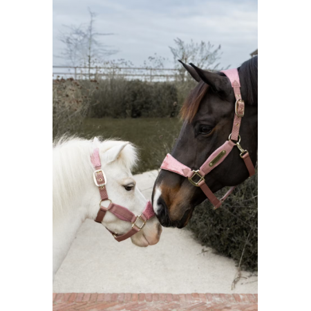 Velvet Halster Unicorn Glitter