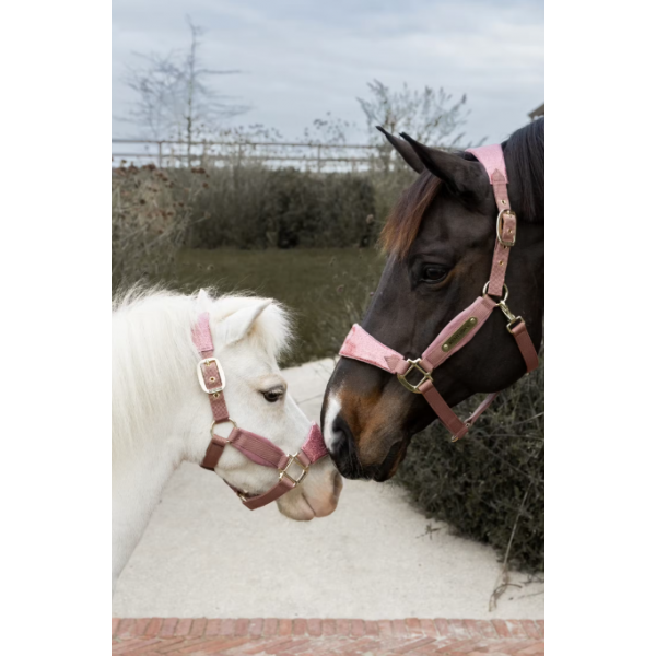 Velvet Halster Unicorn Glitter
