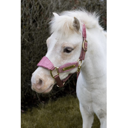 Velvet Halster Unicorn Glitter