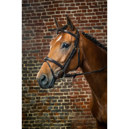 Flash Noseband Bridle Dy'on Collection