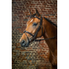 Flash Noseband Bridle Dy'on Collection