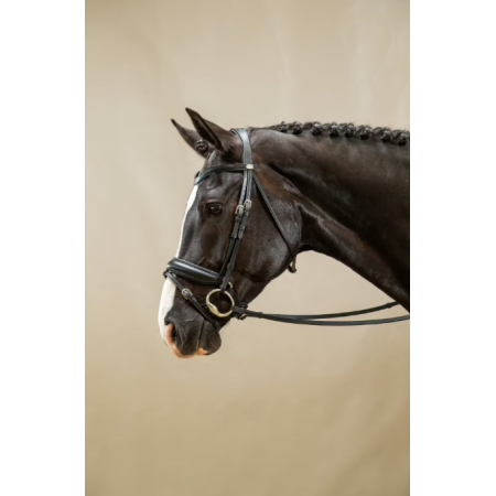 Dy'on Working Matte Large Crank Noseband Bridle With Flash