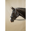 Dy'on Working Matte Large Crank Noseband Bridle With Flash