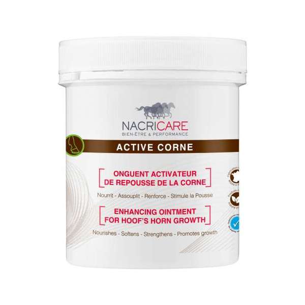 Active Corne