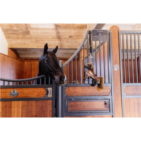 Relax paardenspeeltje Tableux